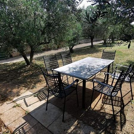 App Carla Apartment Novigrad  Exterior photo