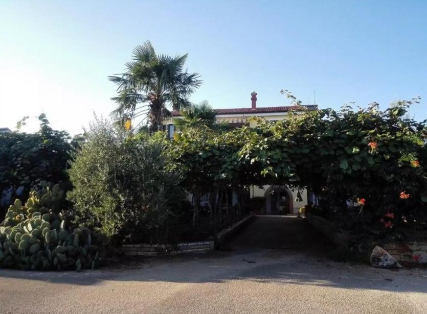 App Carla Apartment Novigrad  Exterior photo