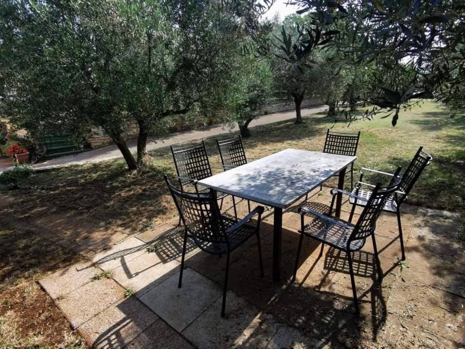 App Carla Apartment Novigrad  Exterior photo