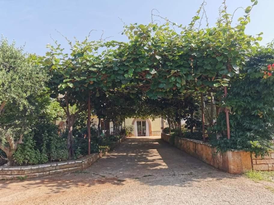 App Carla Apartment Novigrad  Exterior photo